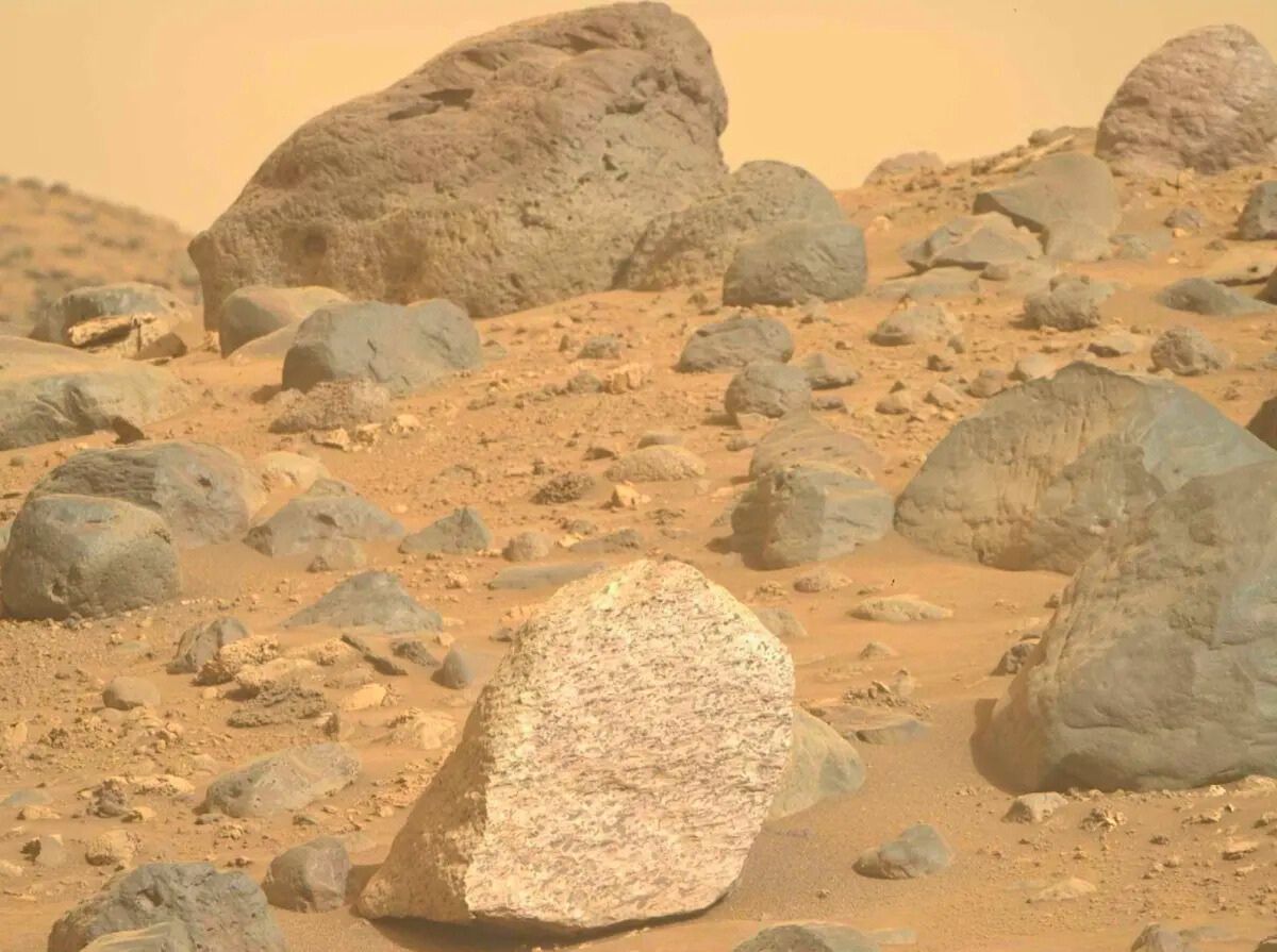 NASA's Mars Perseverance rover acquired this image using its Right Mastcam-Z camera. Mastcam-Z is a pair of cameras located high on the rover's mast. This image was acquired on May 29, 2024 (Sol 1164) at the local mean solar time of 12:40:40. NASA/JPL-Caltech/ASU